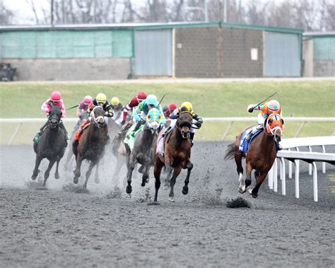 Horse Racing Carryover Pools .